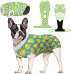 CuteBone Sunflower Pet Surgery Recovery Suit for Small Dogs Cats, Surgical Onesie for Female Pets, Anti-Licking Wound Suit E-Collar Alternative Post Operative Wear SSF13S - Image 11