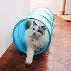 iCAGY interactive cat tunnel front view in sky blue color