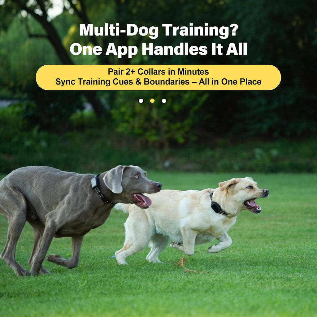 GPS Wireless Dog Collar Fence System - No Monthly Fee App Control, Custom Polygon Boundary & Remote Training, Free Phone Tracker for Up to 5 Pets, Virtual Electric Fence for Dogs - Image 9