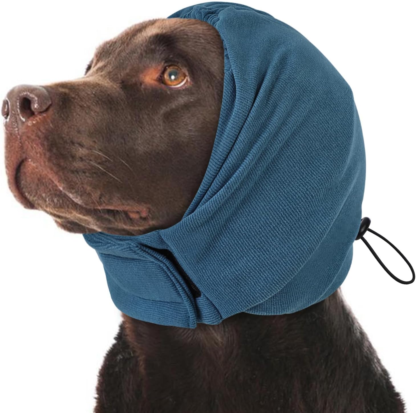 KOESON calming band for dogs showing the adjustable hook and loop fasteners spread out.