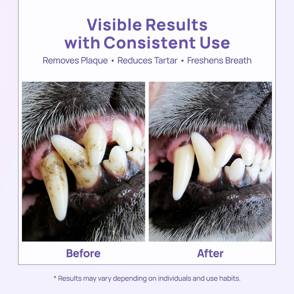 Premium dog toothpaste for sensitive gums ingredient list close up