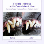 Premium dog toothpaste for sensitive gums ingredient list close up