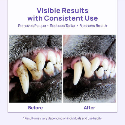 Premium dog toothpaste for sensitive gums ingredient list close up