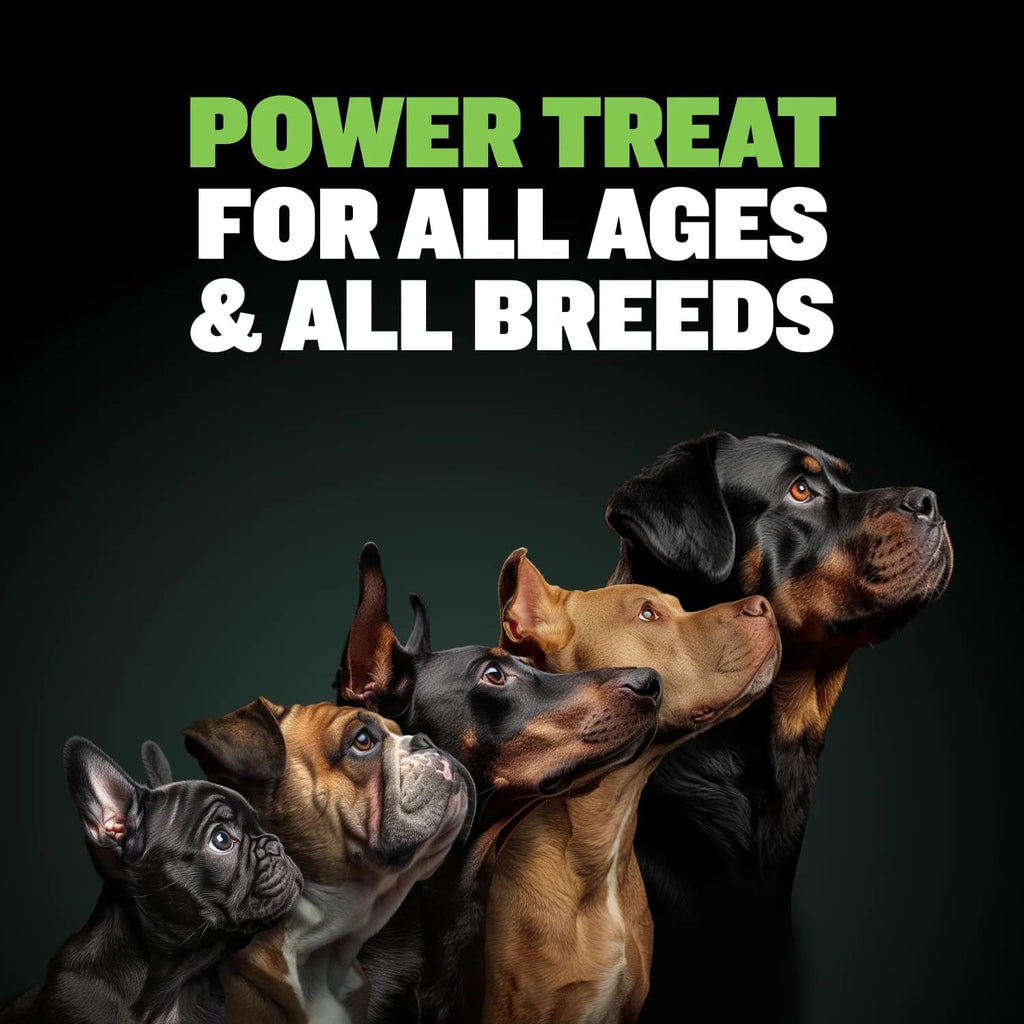 Bully Max protein dog chew back panel showing clean ingredients