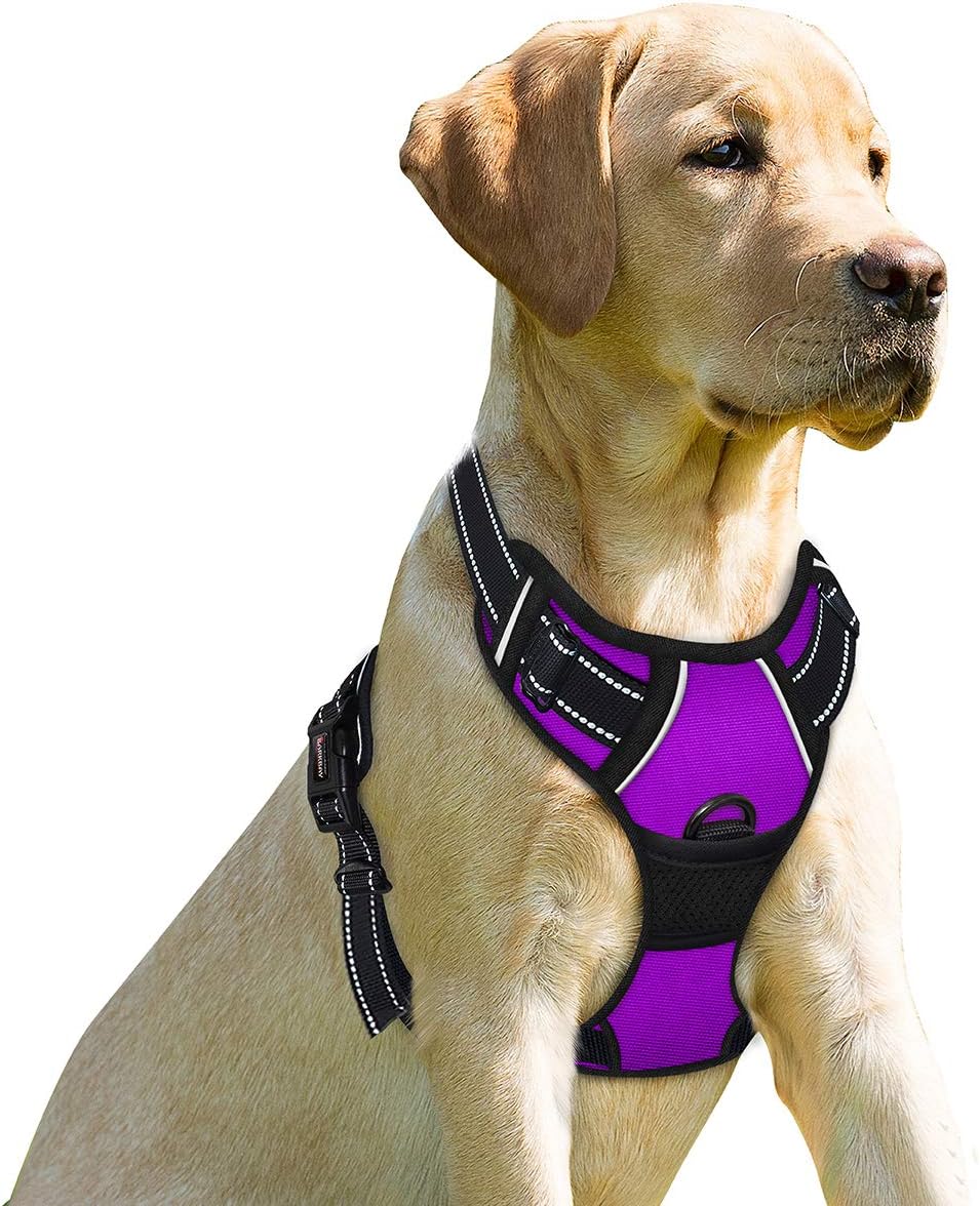 BARKBAY No Pull Dog Harness Front Clip Heavy Duty Reflective Easy Control Handle for Large Dog Walking(Black,L) - Image 10