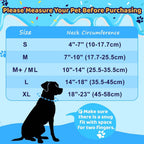 Grand Line inflatable recovery collar showing interior everyday collar loops