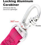 Apakbak dog car safety strap close up