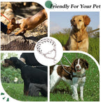 Detachable metal links of premium imported pet training collar