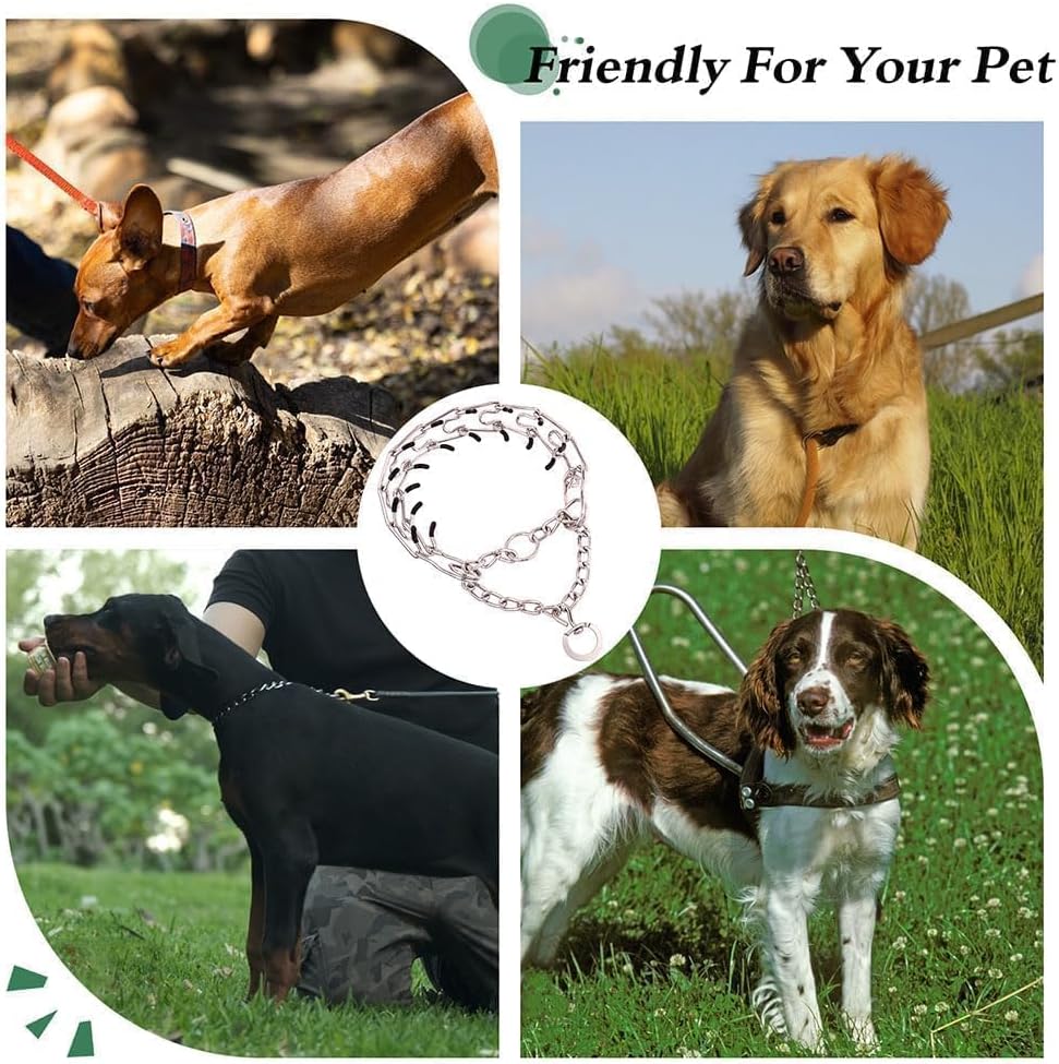 Detachable metal links of premium imported pet training collar