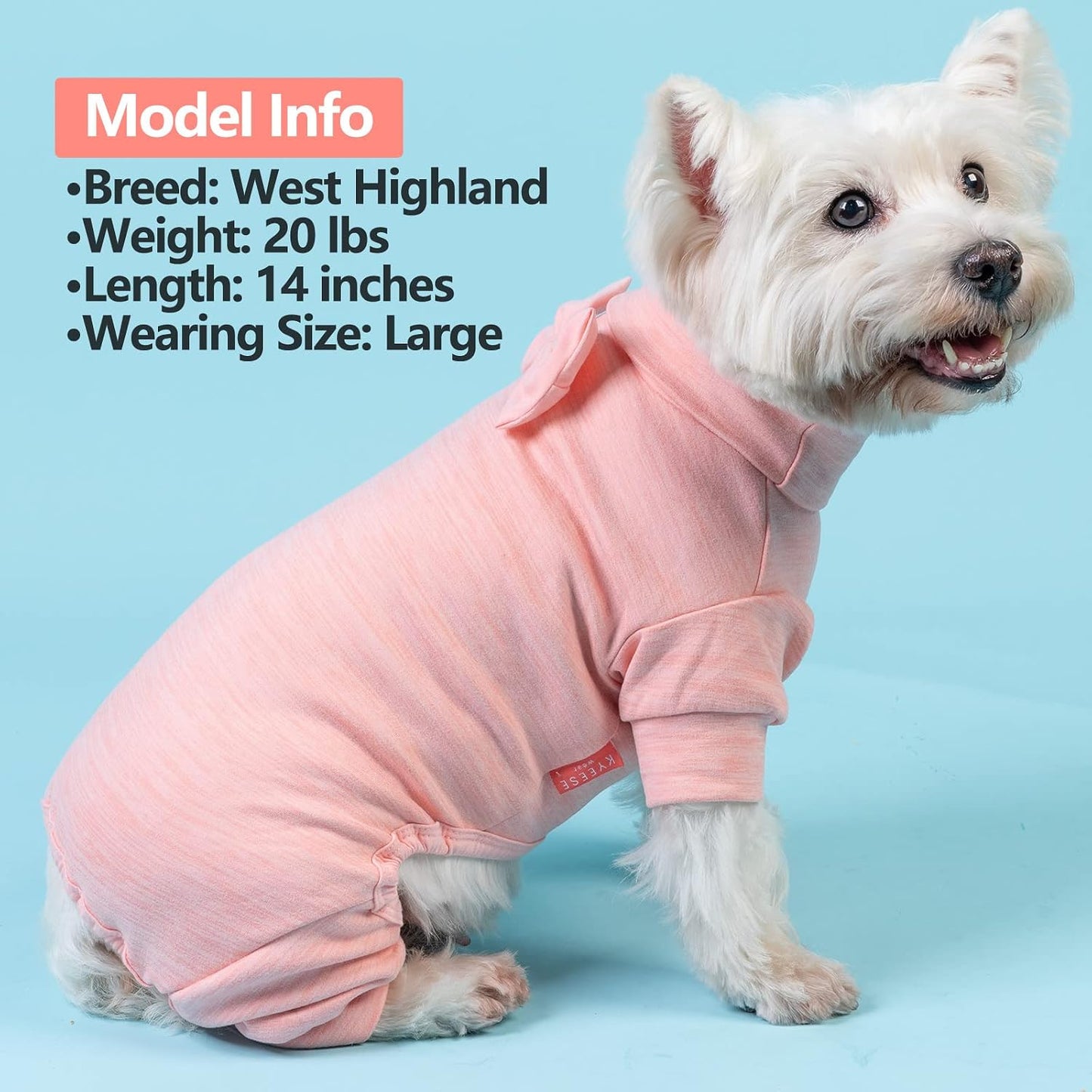 Close up of high-cut belly design on dog onesie