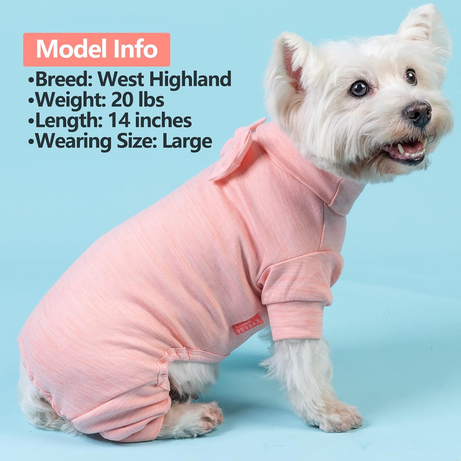 Close up of high-cut belly design on dog onesie