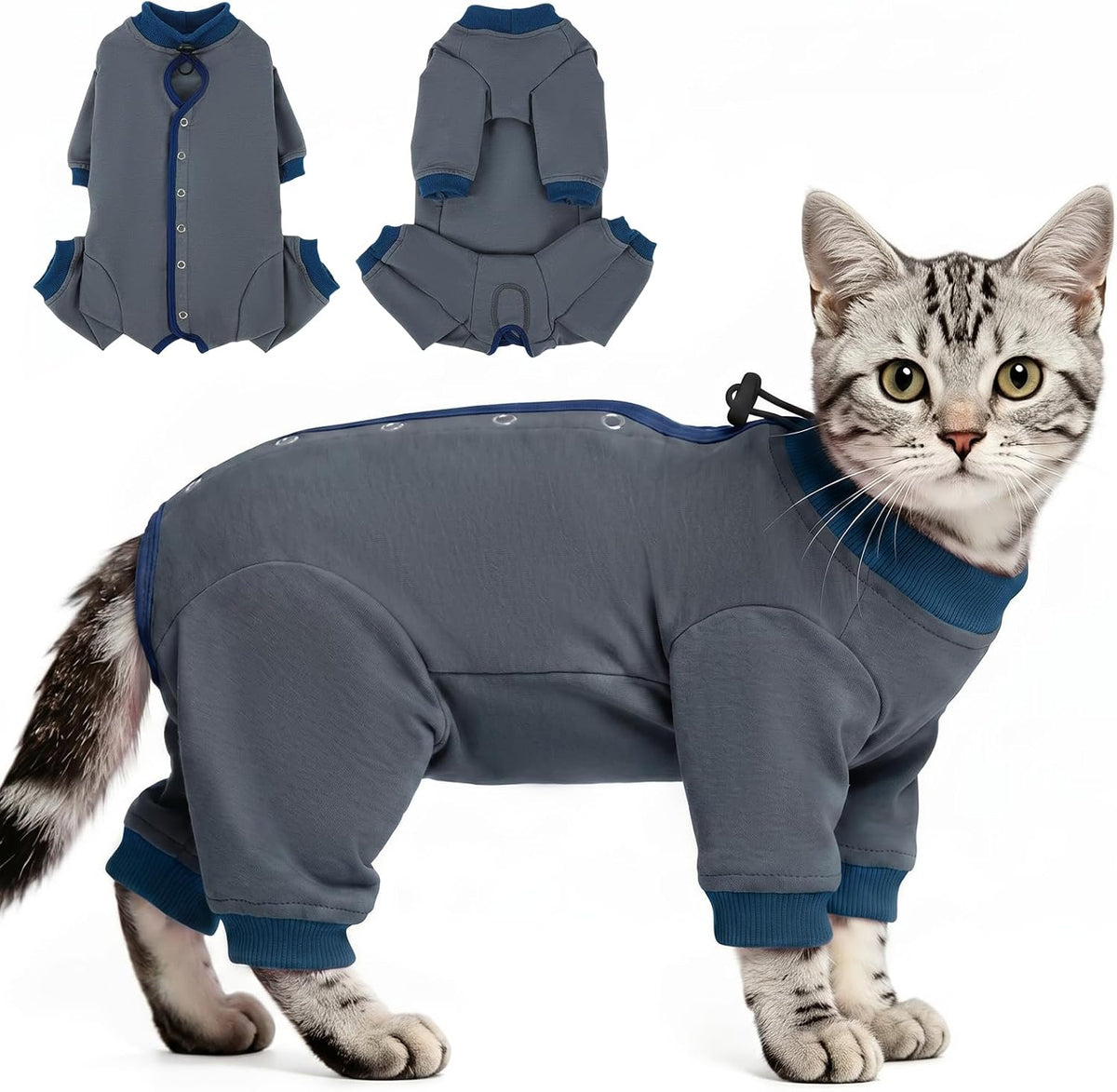 Qbleev cat recovery suit in adorable dinosaur print