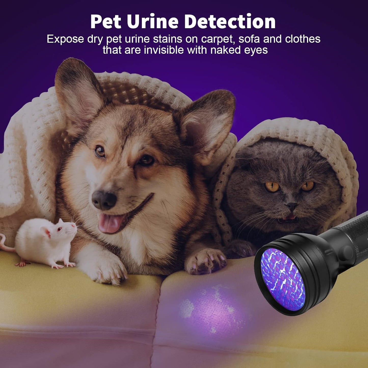 Escolite ultraviolet pet stain detector highlighting the 395nm wavelength light beam