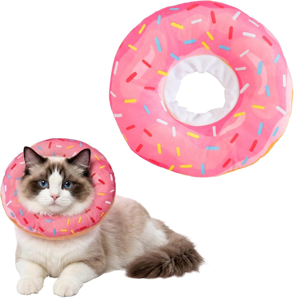 Adjustable blue donut cone protecting a small cat from scratching