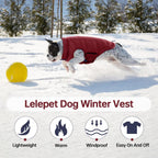Detail shot of the integrated leash hole on the Lelepet winter puffer coat
