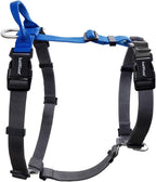 LufeLux easy walk harness components layout