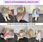 Cat playing actively with ZeyZoo interactive wand toy