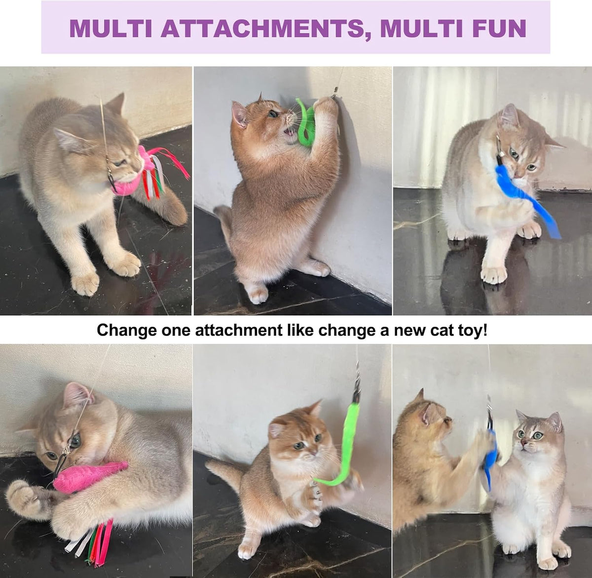 Cat playing actively with ZeyZoo interactive wand toy