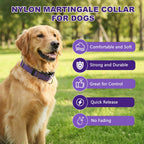 Purple reflective nylon martingale collar for medium dogs close up
