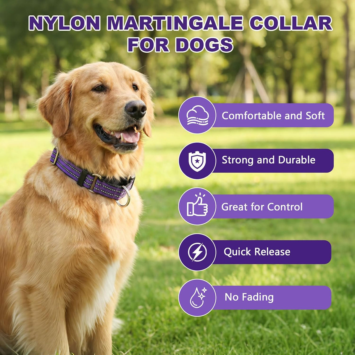 Purple reflective nylon martingale collar for medium dogs close up