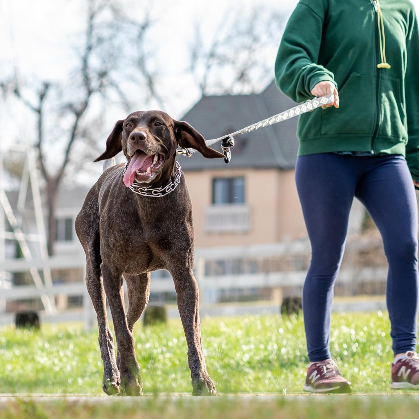 Quick-release alloy metal buckle on the JIPIMON no pull training collar.