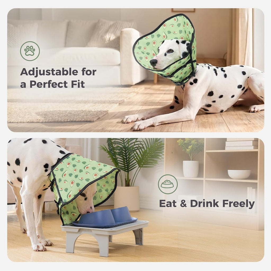 Dog wearing Avont soft recovery collar showing movement
