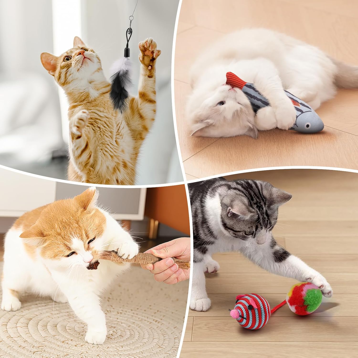 USA imported high quality dynamic cat toys collection spread out on floor.