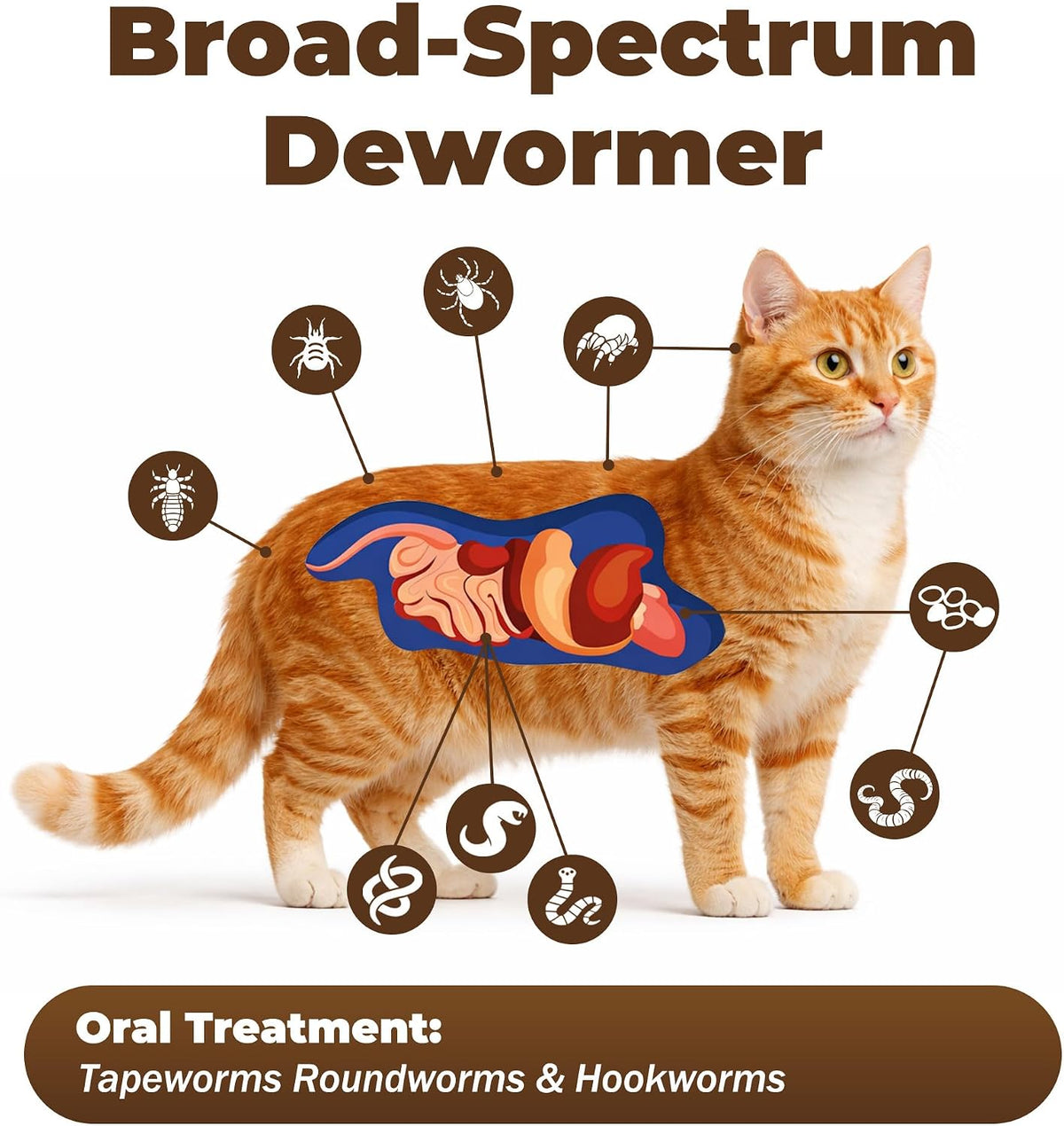 Parontal praziquantel deworming tablets for cats and kittens side view dosing guide