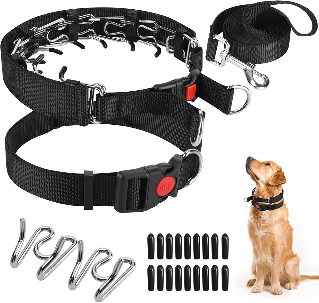 Safe anti pull dog collar demonstrating even pressure distribution around the neck.