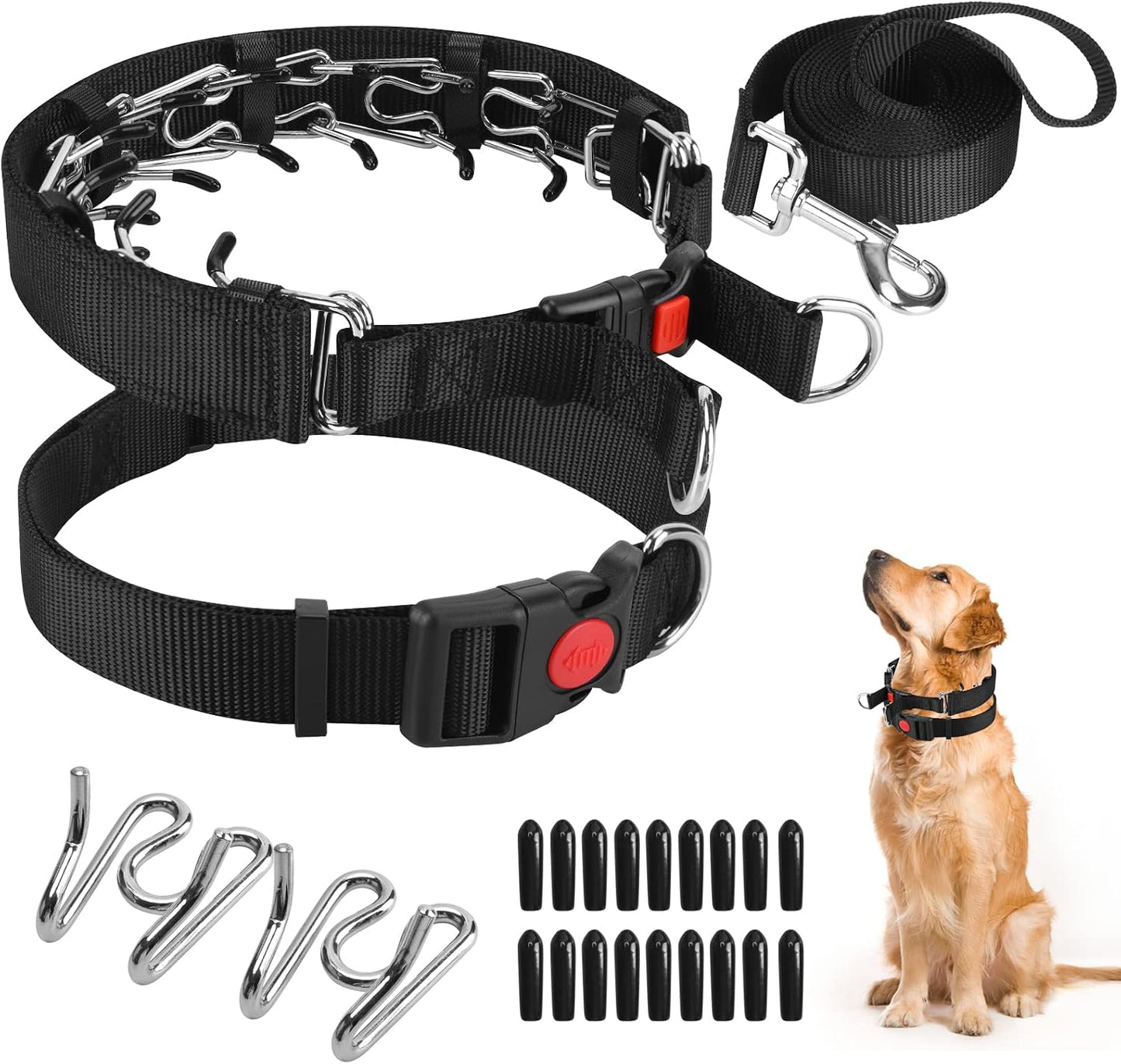 Safe anti pull dog collar demonstrating even pressure distribution around the neck.
