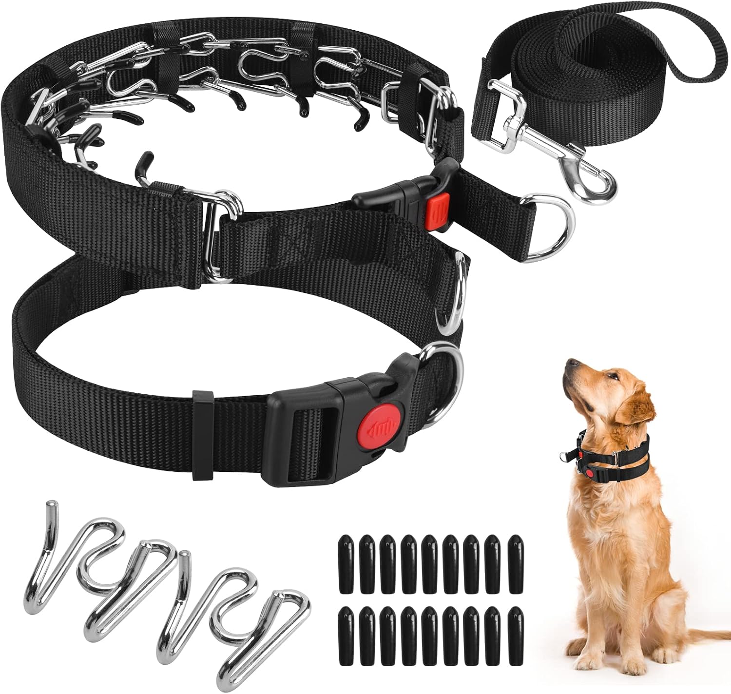 Safe anti pull dog collar demonstrating even pressure distribution around the neck.