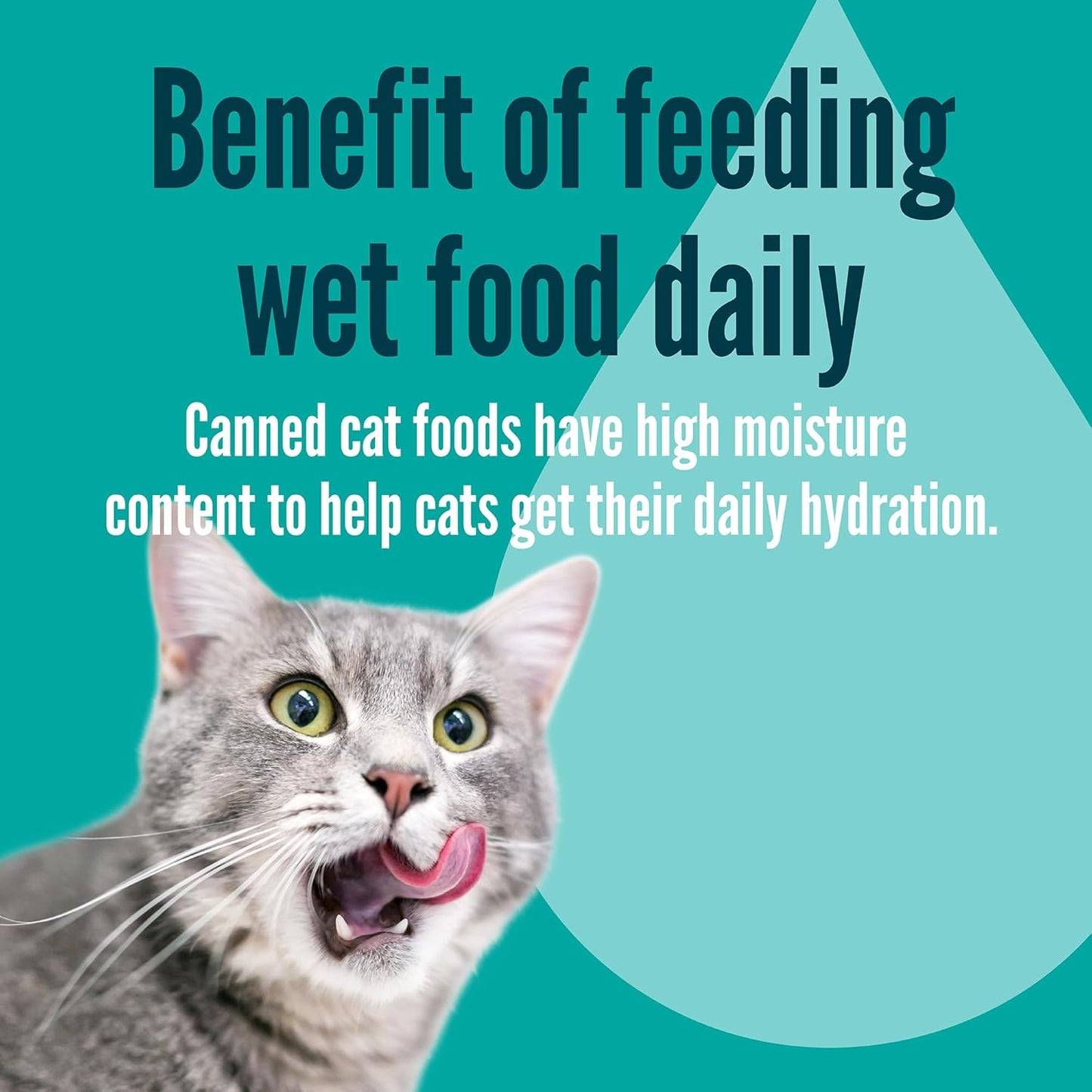 Strongheart Adult Cat Wet Food Can Top View