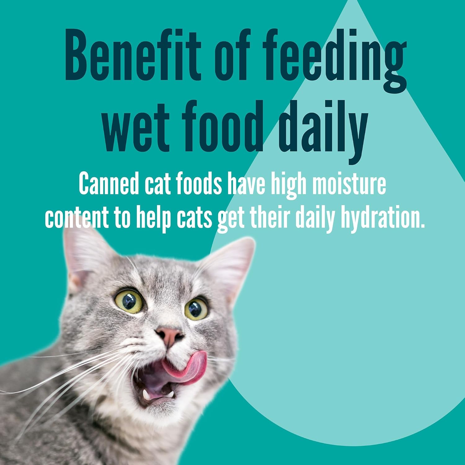 Strongheart Adult Cat Wet Food Can Top View
