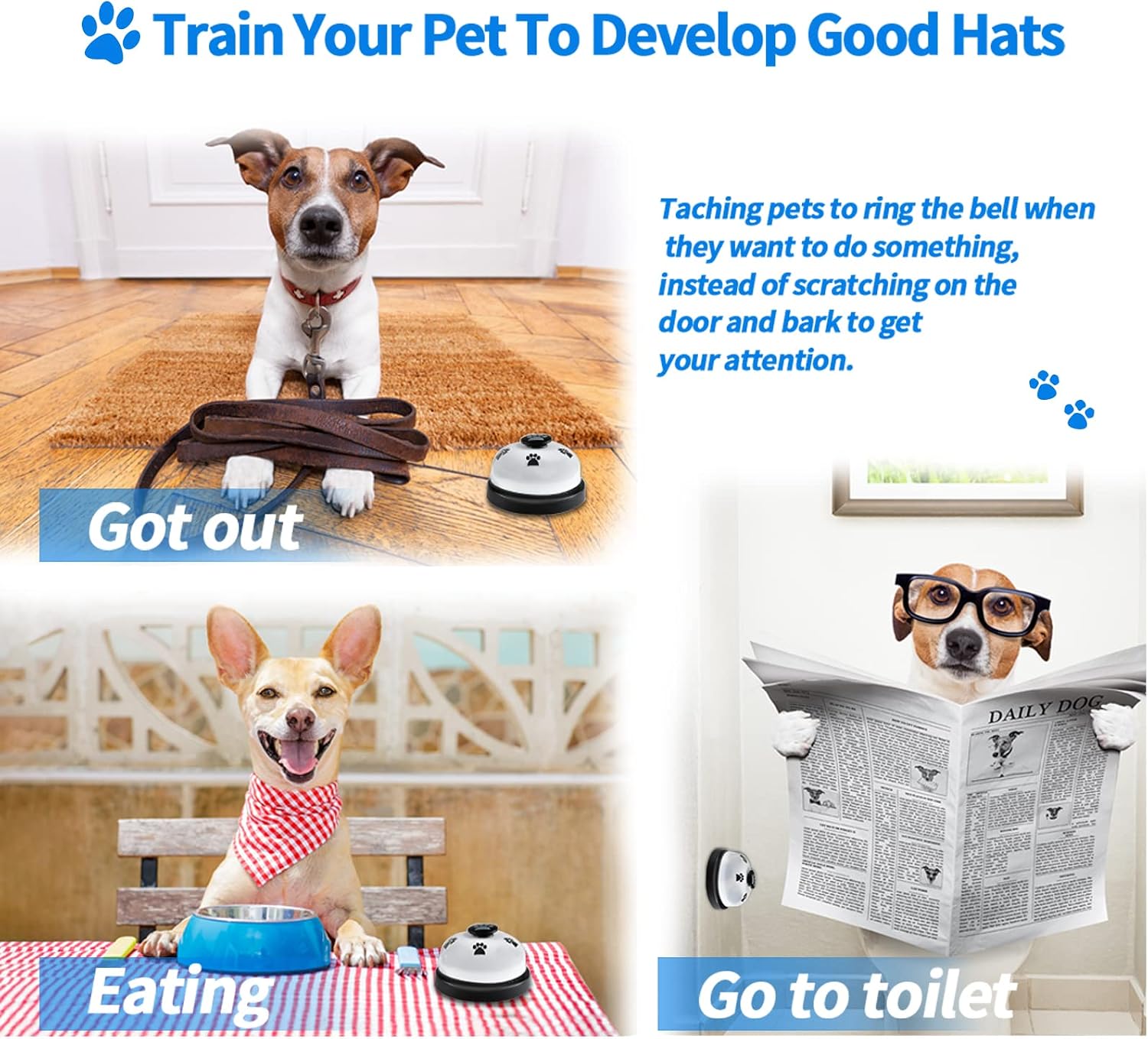 Dog interacting with Jimejv potty training bell on door