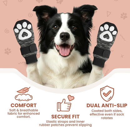 Senior dog wearing Bixie anti slip socks on tile