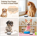 White desktop style dog agility training bell with wide button mechanism