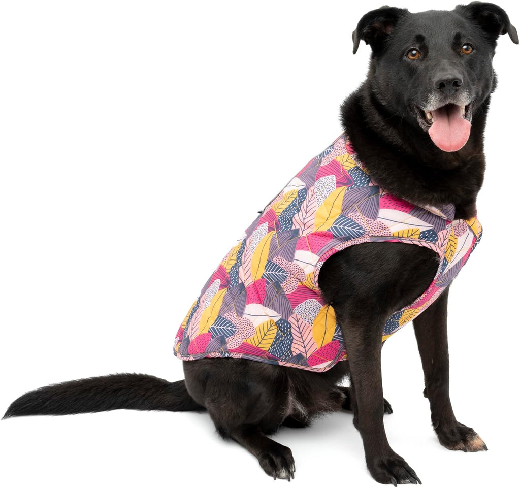 Detail of reflective piping on Kurgo dog winter coat