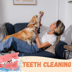 Small and large dogs eating Pawmate chicken jerky strips