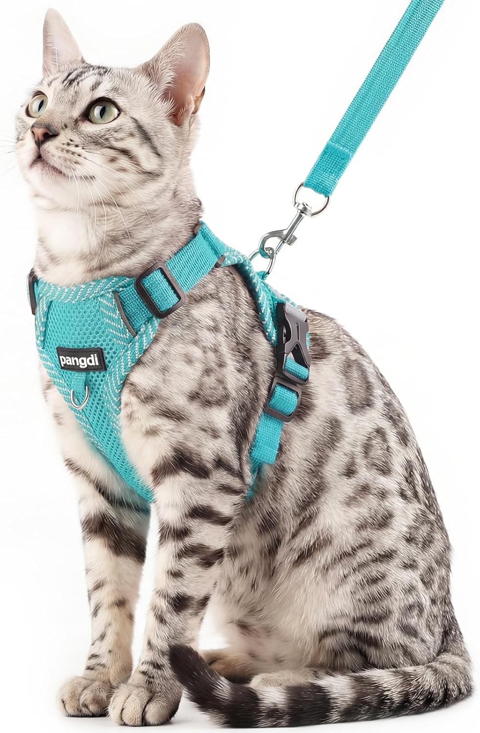 Cat Harness and Leash Escape Proof Extra Large Kitten Harness Maine Coon Cat Vest for Walking Travel, Dark Green, XL - Image 9