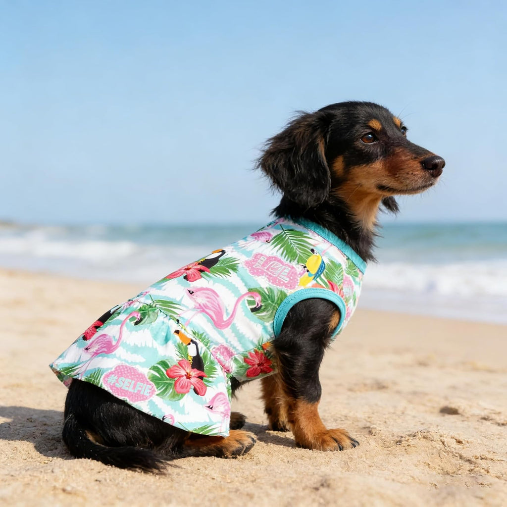 Back view of the pink hibiscus print puppy dress showing the frilled skirt detail.