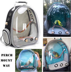 Parakeet travel backpack interior view featuring wooden standing perch