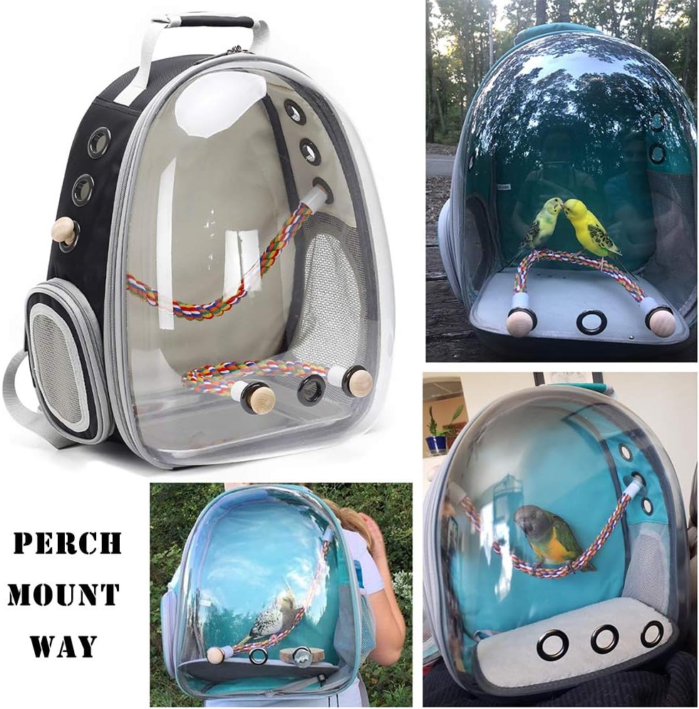 Parakeet travel backpack interior view featuring wooden standing perch