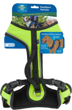 PetSafe EasySport Harness Padded Straps Fully Adjustable Elastic Neckline Best for Athletic Dogs Top Handle for Quick Control - Medium - Teal - Image 12