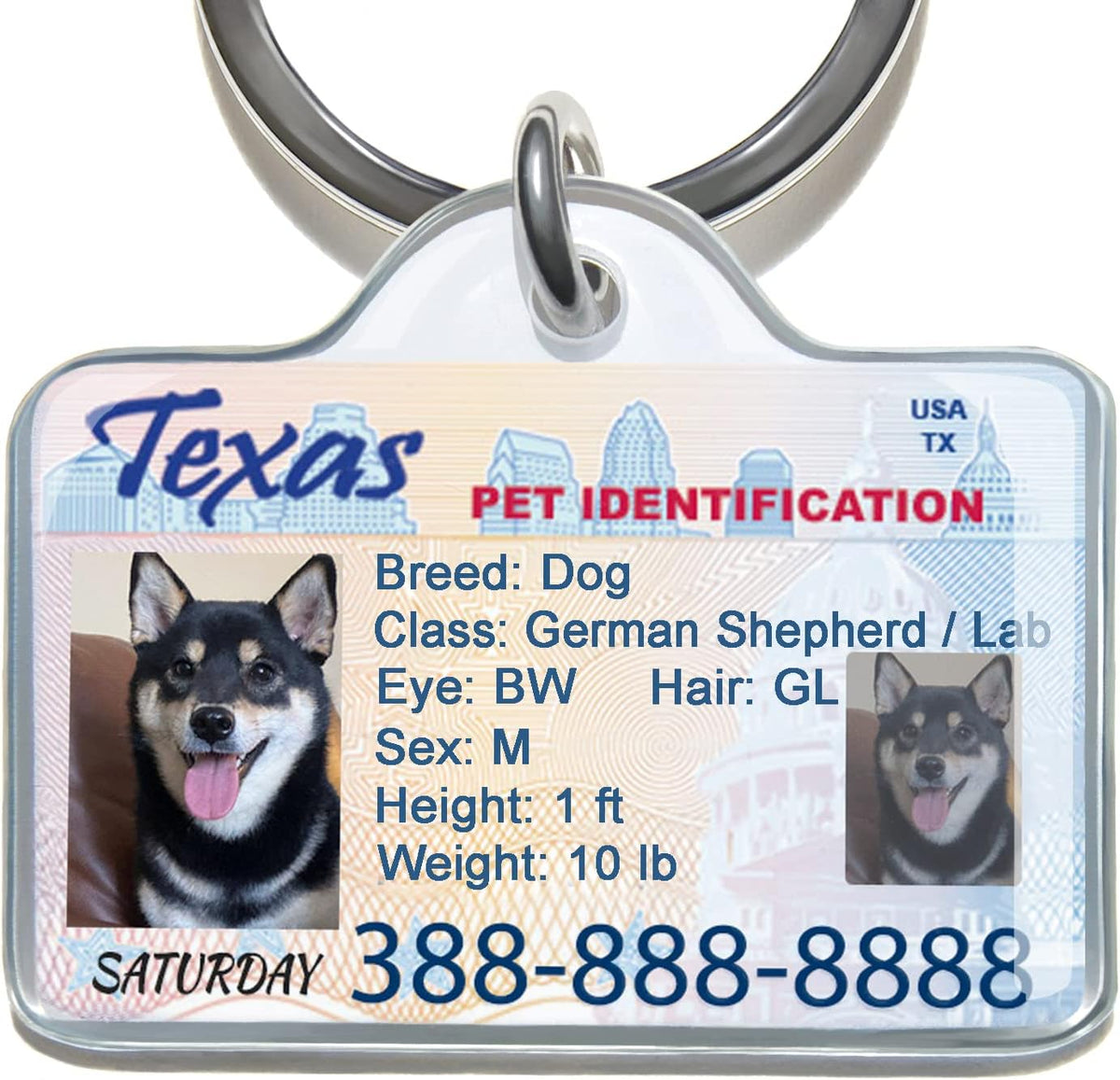 Puplook personalized pet driver license identification tag front view showing custom dog photo.