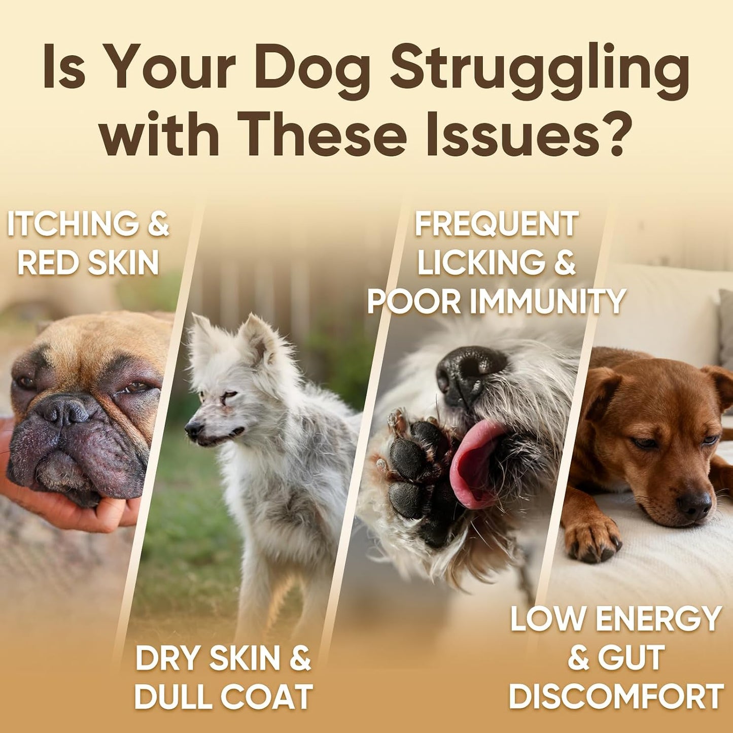 Close up view of the chicken flavored allergy relief soft chews for dogs.