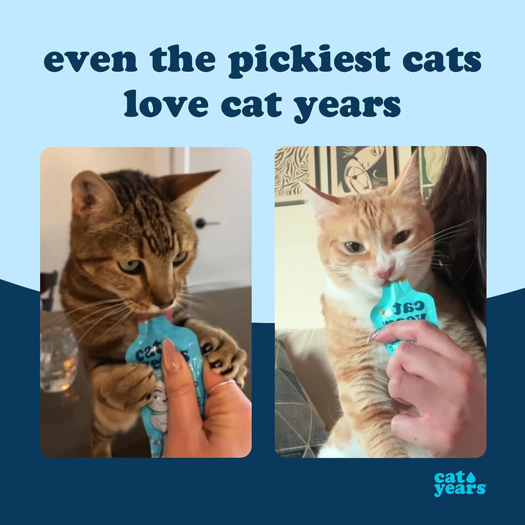 Cat Years cat treat chicken flavor texture close up