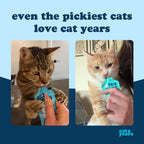 Cat Years cat treat chicken flavor texture close up