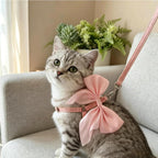 Adjustable straps and buckle detail on pink pet vest