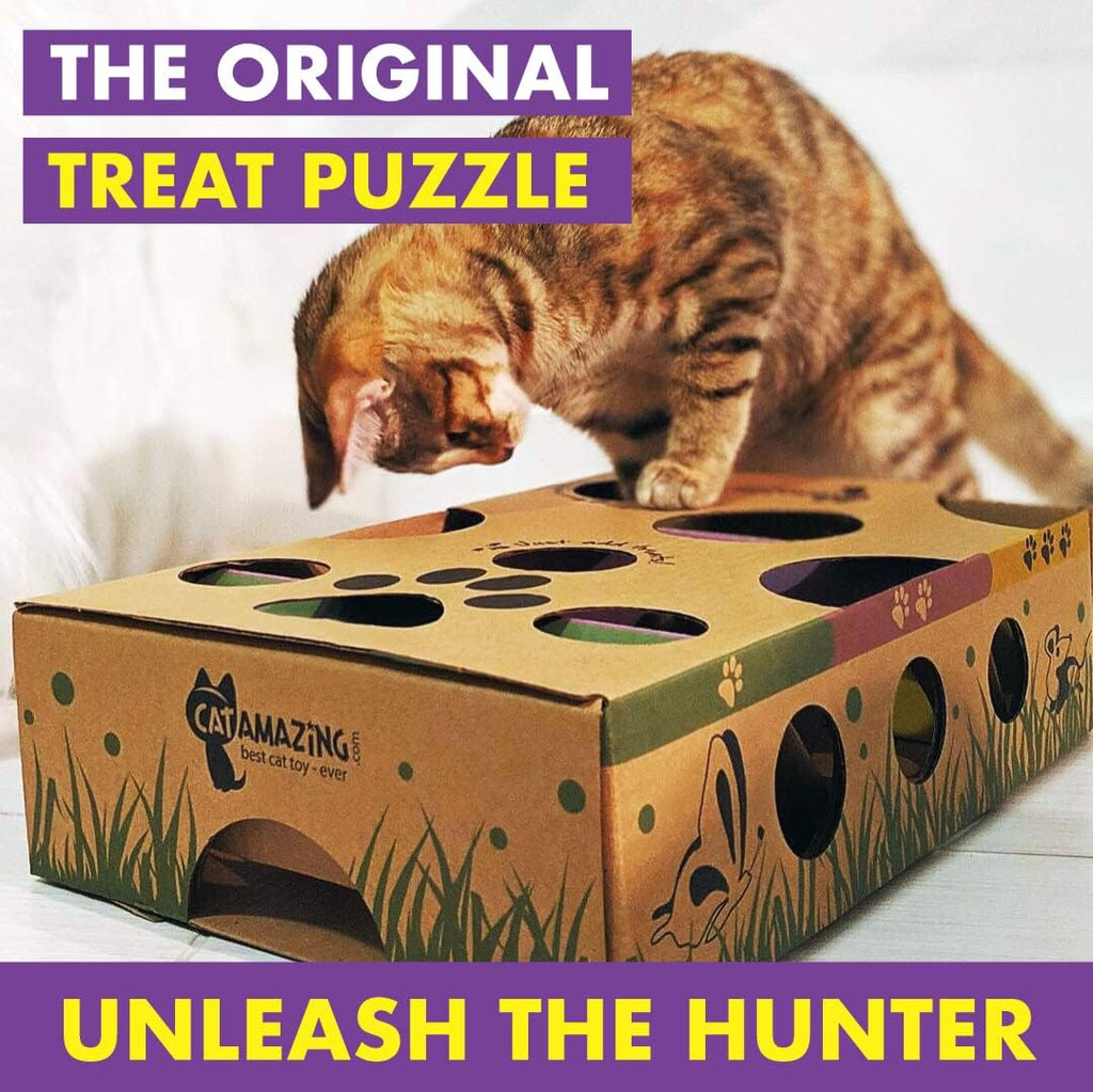 Cat Amazing puzzle feeder showing interior chambers and difficulty levels