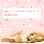 LifeLink Zobaline methylcobalamin vitamin B12 feline supplement packaging detail
